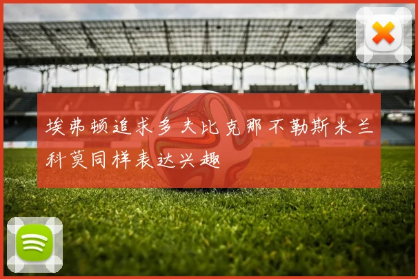 埃弗顿追求多夫比克那不勒斯米兰科莫同样表达兴趣