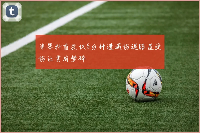 津琴科首发仅6分钟遭遇伤退膝盖受伤让贾府梦碎